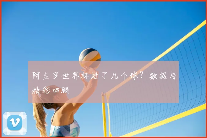 阿圭罗世界杯进了几个球?数据与精彩回顾