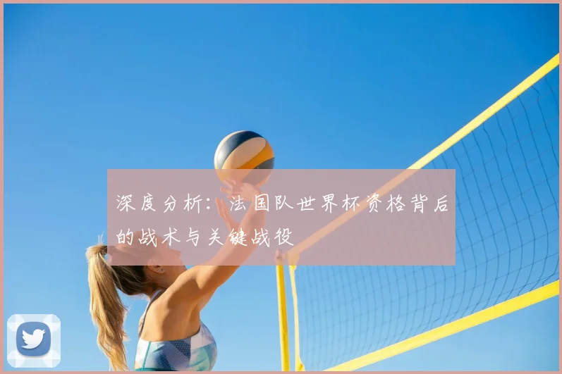 深度分析：法国队世界杯资格背后的战术与关键战役