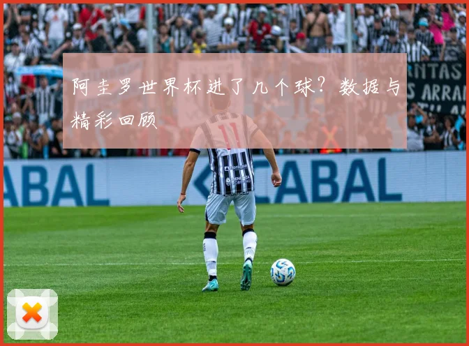 阿圭罗世界杯进了几个球?数据与精彩回顾