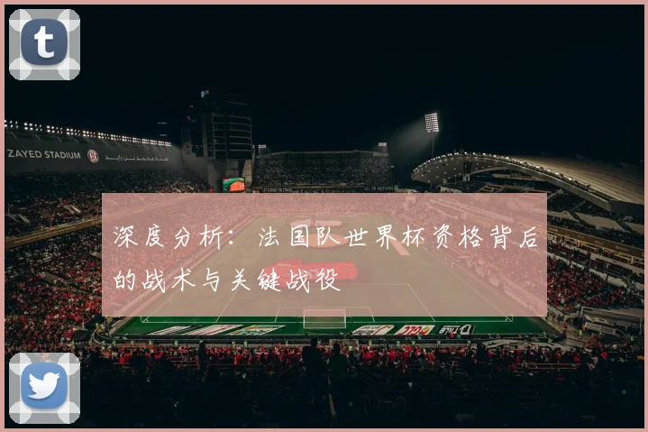 深度分析：法国队世界杯资格背后的战术与关键战役