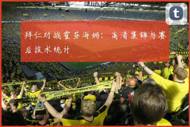 拜仁对战霍芬海姆：高清集锦与赛后技术统计