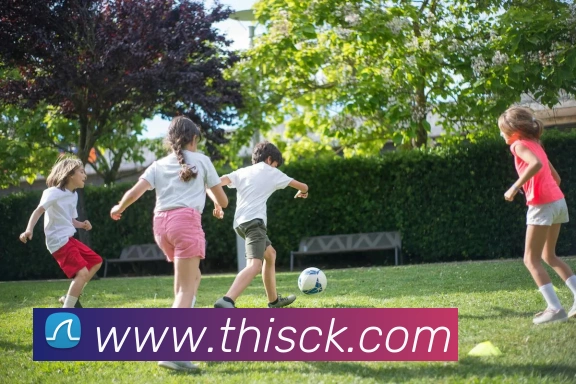 华体在线登录官网APP 体育赛事宣传图